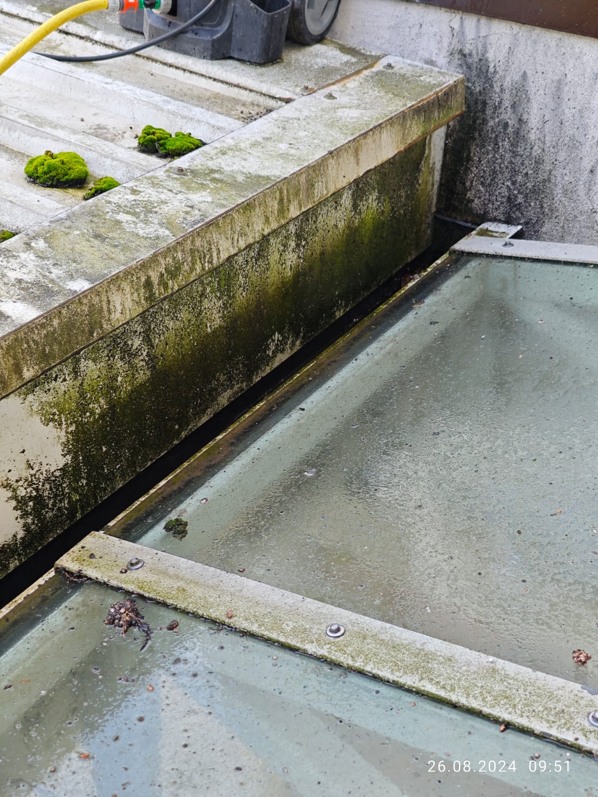 Arbeitseinsätze: Fensterreinigung